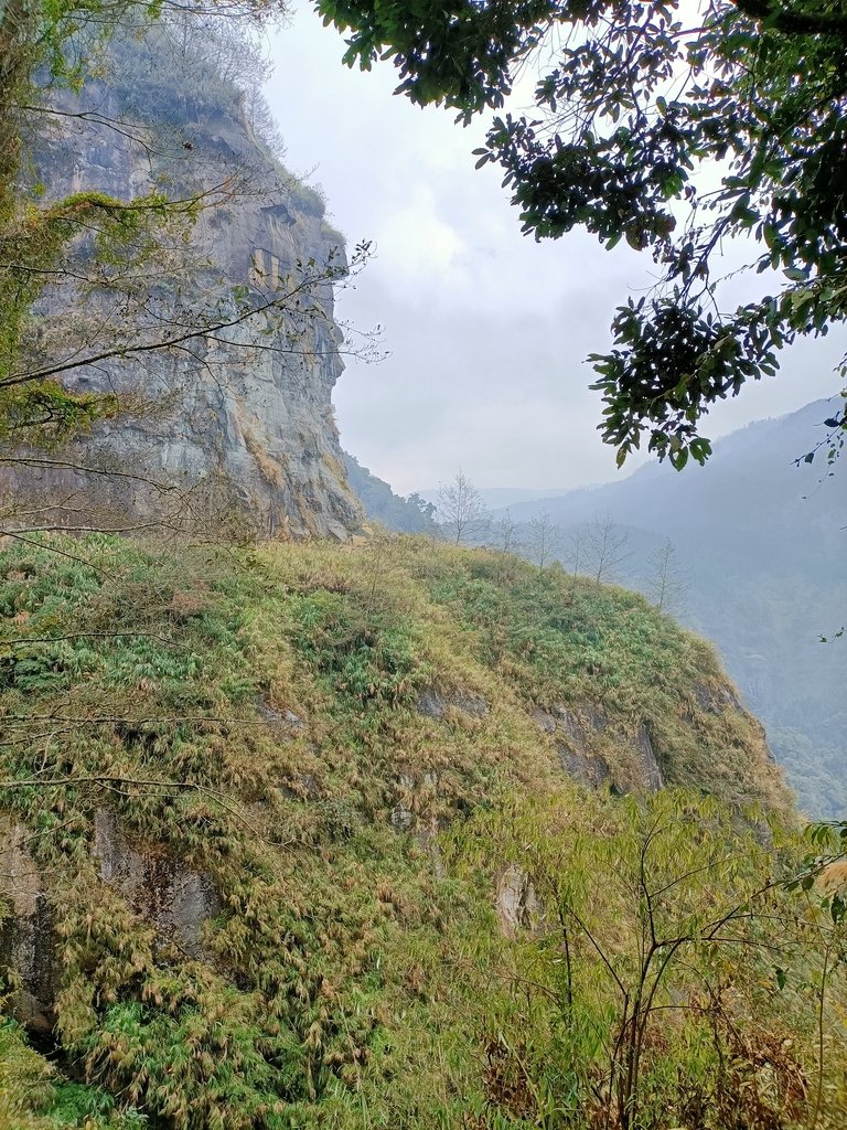 IMG20210205135244.jpg - 竹山  杉林溪森林遊樂園  路過