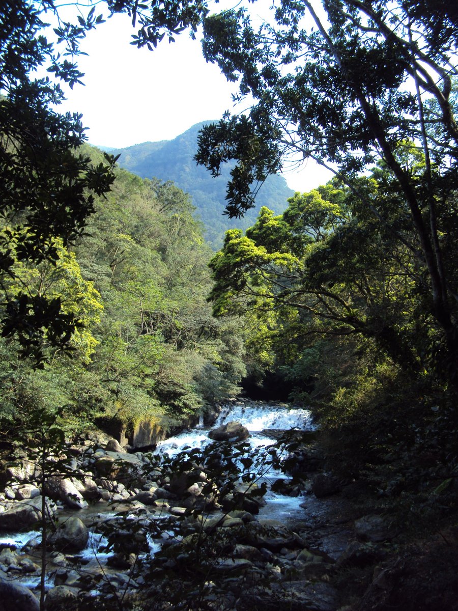 DSC04446.JPG - 三峽  滿月圓遊樂區