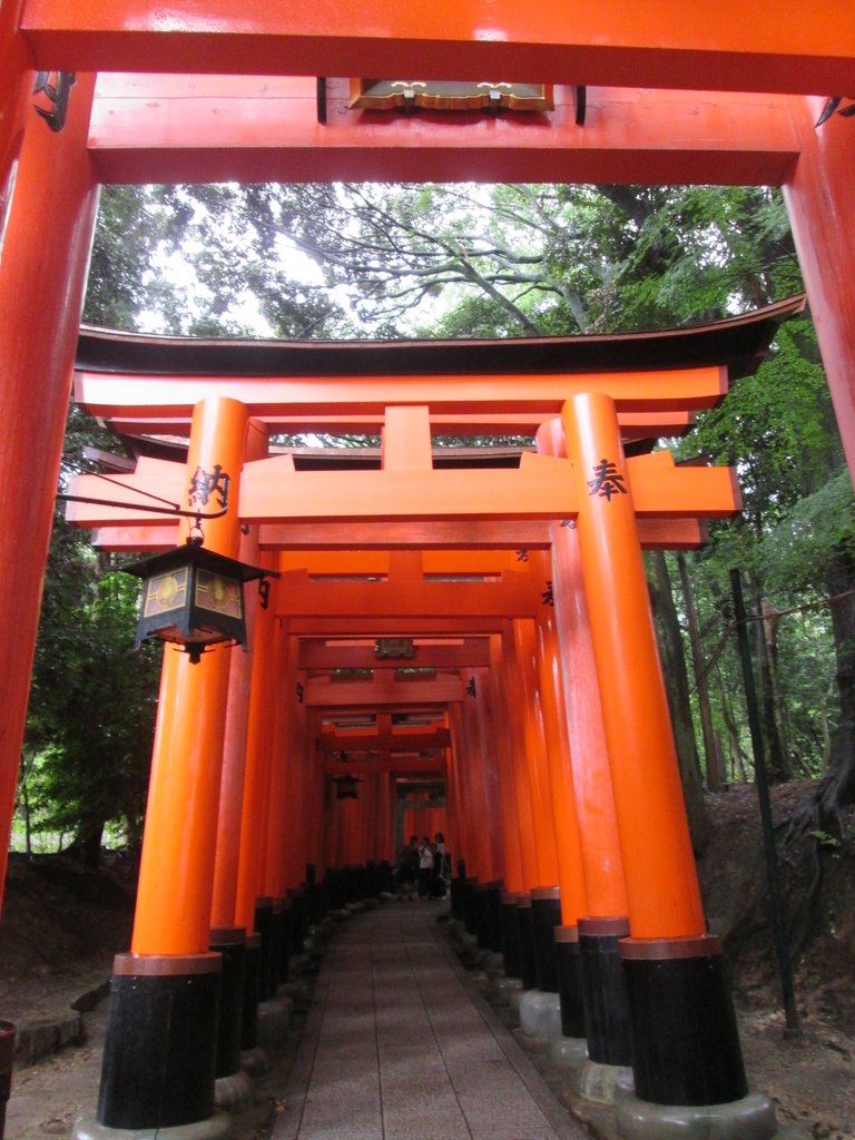 IMG_3705.JPG - 伏見稻荷神社  千本鳥居