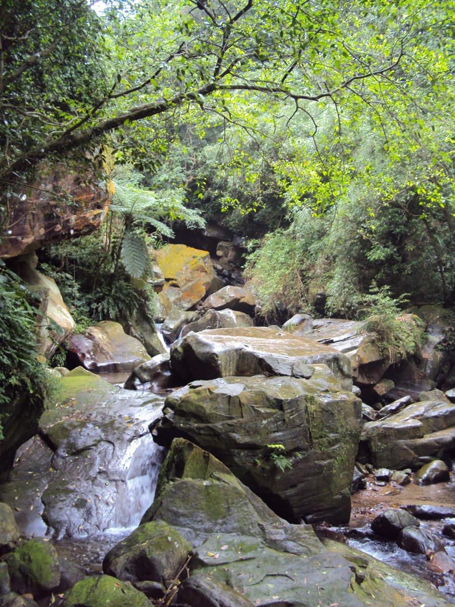 DSC07581.JPG - 基隆  暖東峽谷步道