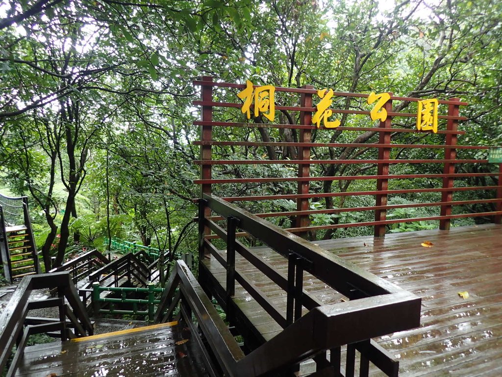 P1062084.JPG - 土城  天上山  登山步道