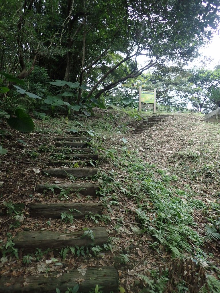 P1263963.JPG - 金山  大路崁古道