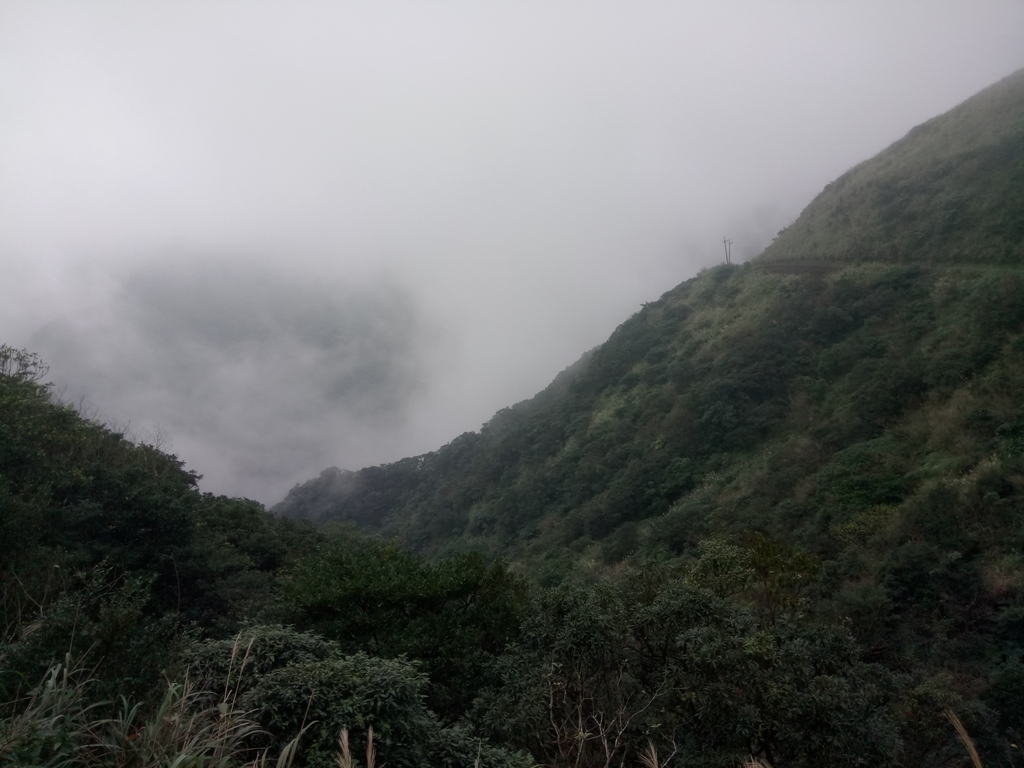 DSC_2888.JPG - 瑞芳  牡丹山