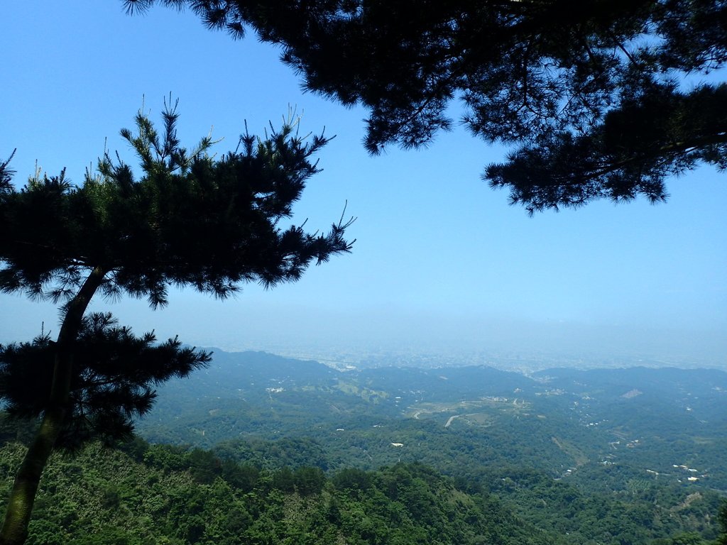 P5117181.JPG - 大坑四號步道  頭嵙山