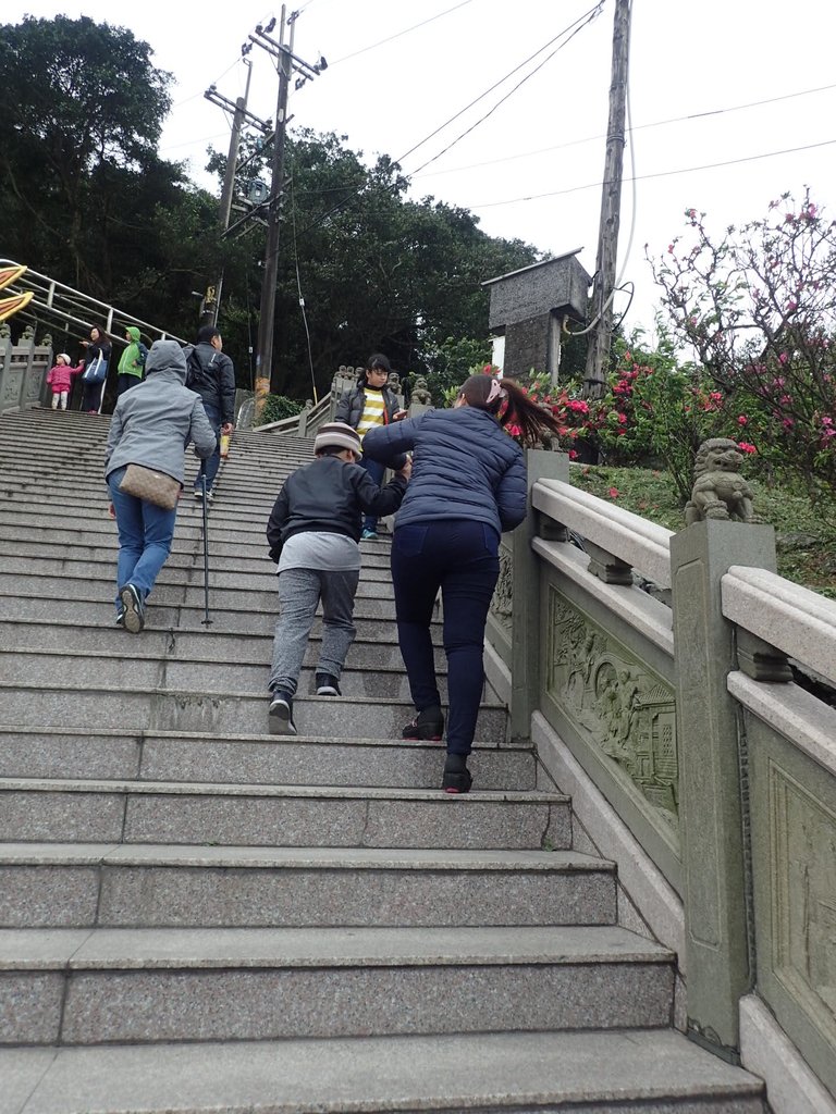 P2178168.JPG - 中和  南勢角山  (烘爐地)