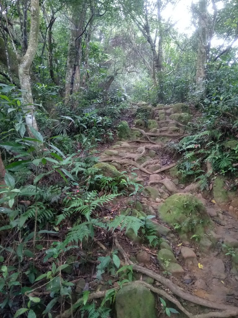 DSC_4869.JPG - 大溪  溪洲山登山步道