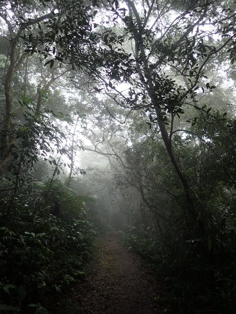 P2107535.JPG - 大溪  溪洲山登山步道