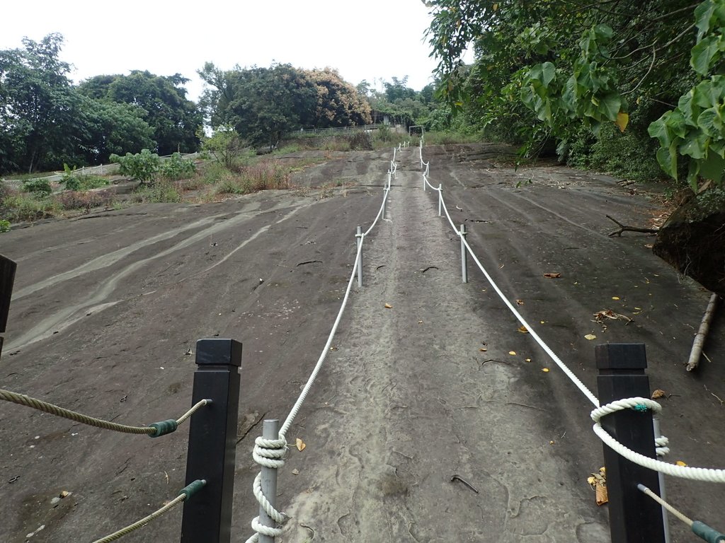 PA231657.JPG - 草嶺  茄苳步道  峭壁雄風