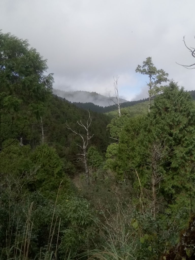 DSC_0037.JPG - 太平山  翠峰湖環山步道  01