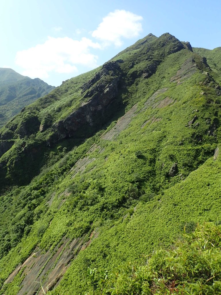 PA104843.JPG - 秋晴  南子吝山  登龍尾坪