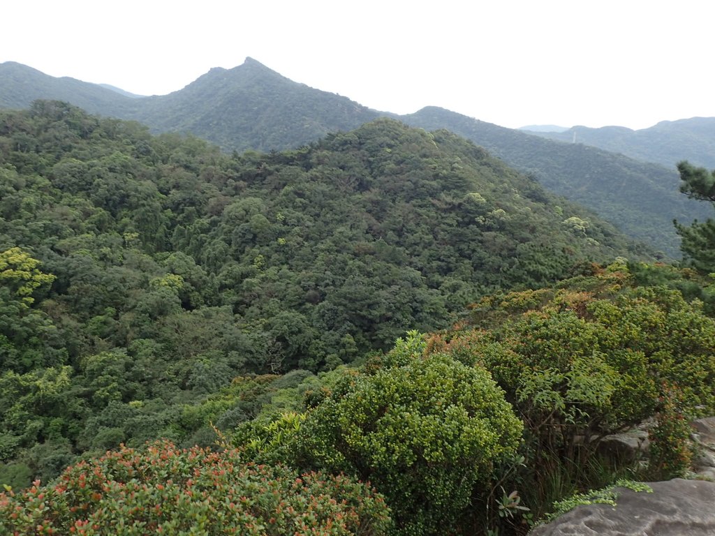 P3160066.JPG - 汐止  柯子林山  如意湖