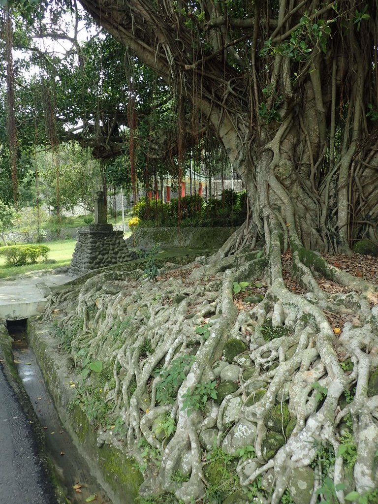 P8045247.JPG - 竹崎  清華山  德源禪寺