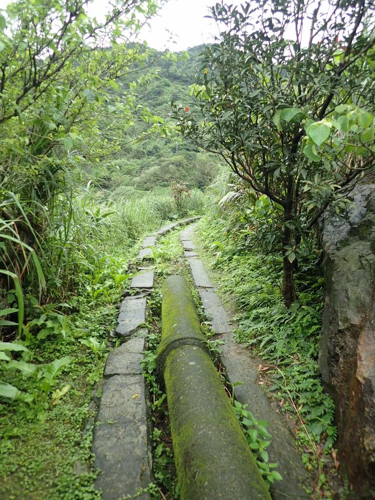 P3240575.JPG - 金瓜石之  內九份溪圳橋