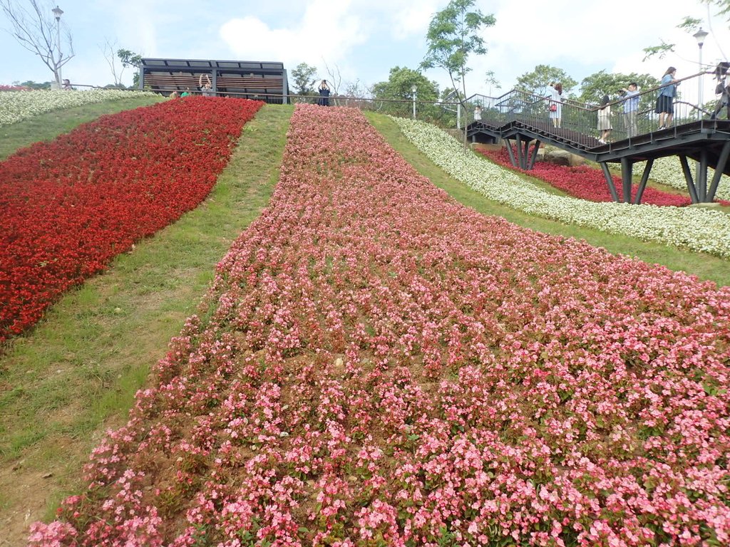 P2155429.JPG - 北投社  三層崎公園