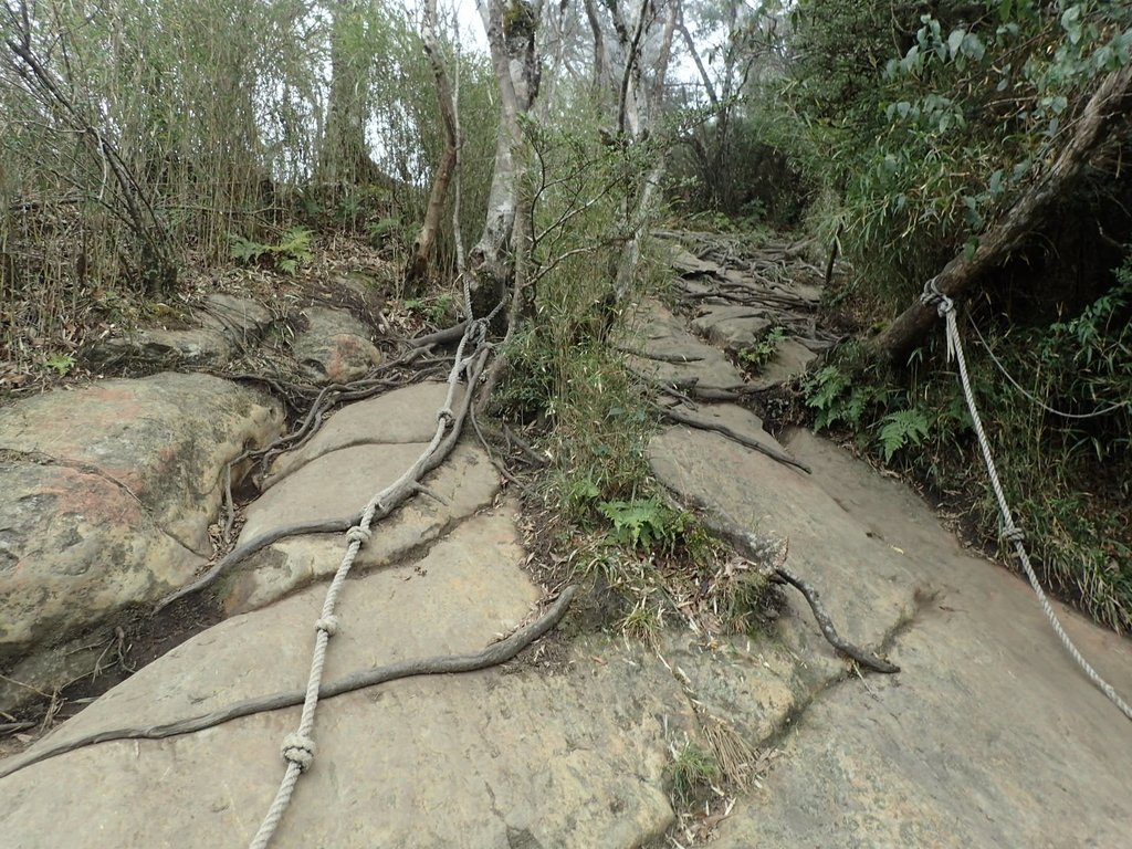 P2034904.JPG - 南庄  加里山