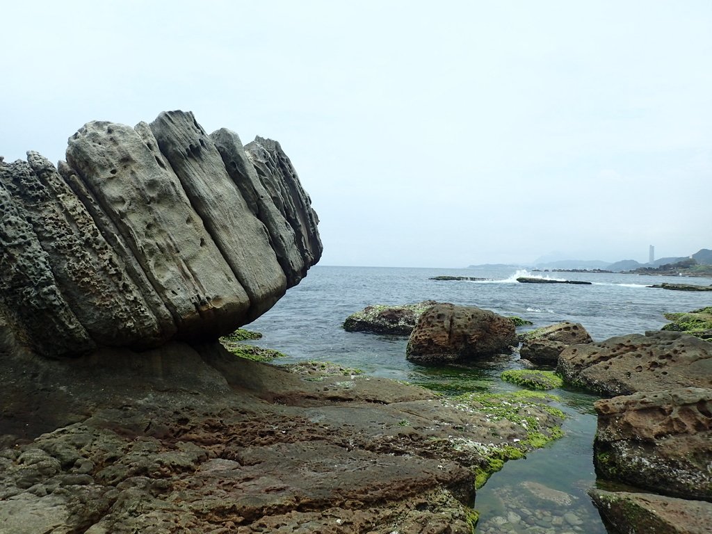 P5163280.JPG - 萬里  拳頭石海岸