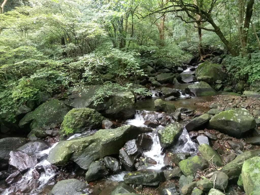 DSC_0698.JPG - 三芝  大屯溪古道