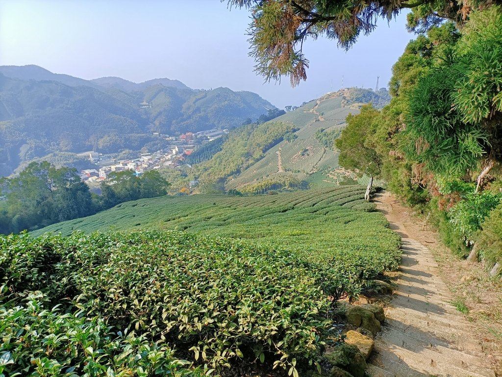 IMG20210130093920.jpg - 雲嘉連峰之  太平山  梨子腳山