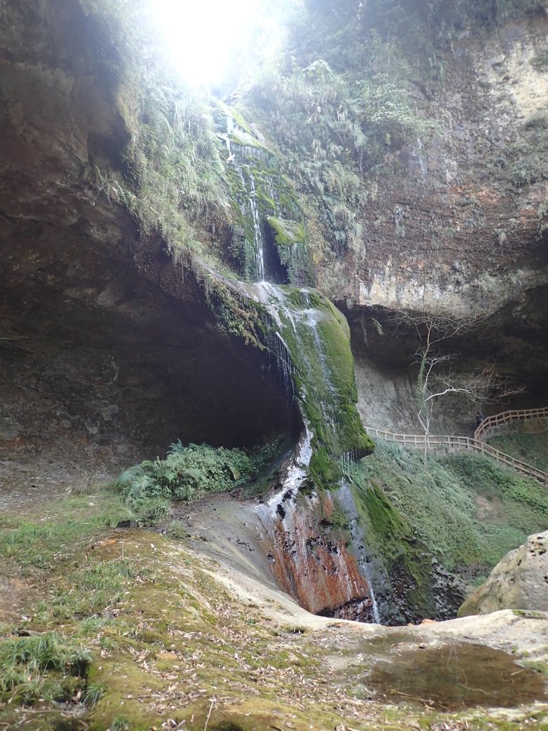 P2056651.JPG - 竹山  杉林溪森林遊樂園  路過