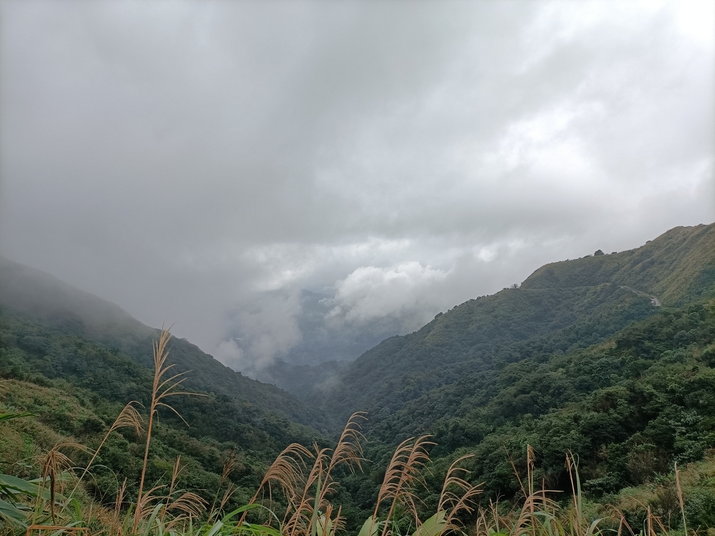 IMG20201226102005.jpg - 瑞芳  不厭亭之  煙雨山水