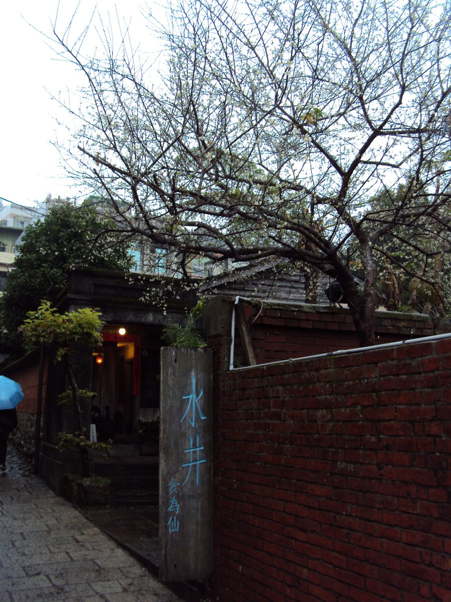 DSC01755.JPG - 微雨  北埔山城