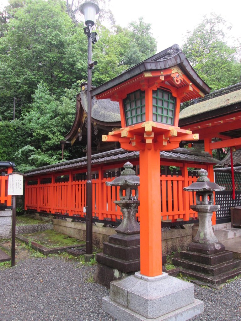 IMG_3708.JPG - 伏見稻荷神社  千本鳥居