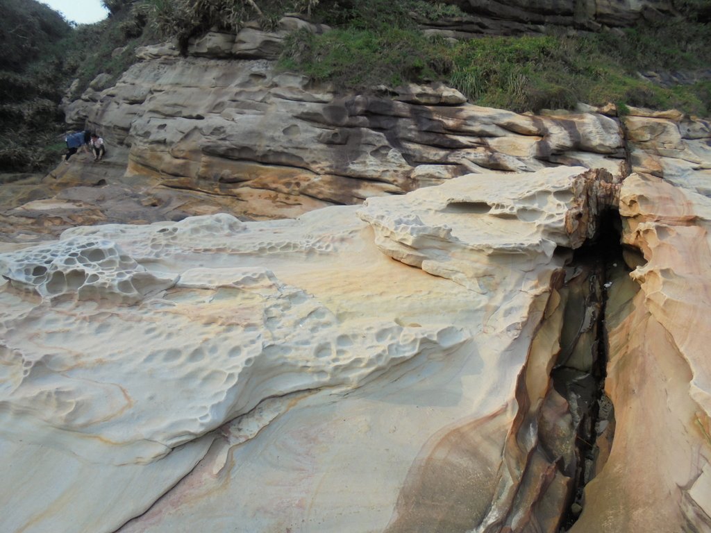 DSC01692.JPG - 金山  獅頭山  神秘海岸