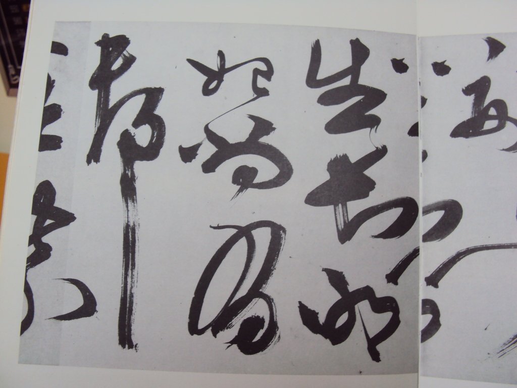 DSC09985.JPG - 陳淳的草書作品