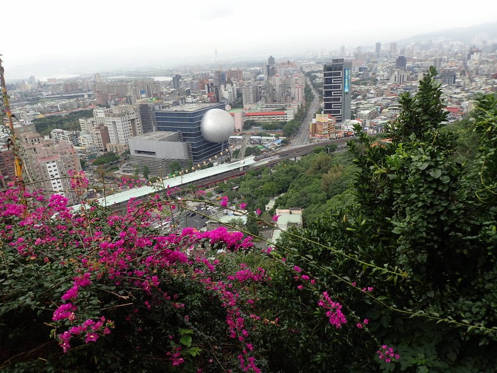 P1122643.JPG - 大直圓山風景區  劍潭山