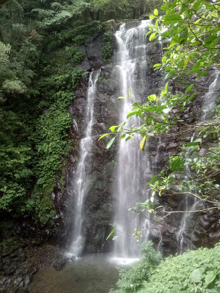 DSC_6136.JPG - 三峽  滿月圓森林遊樂區