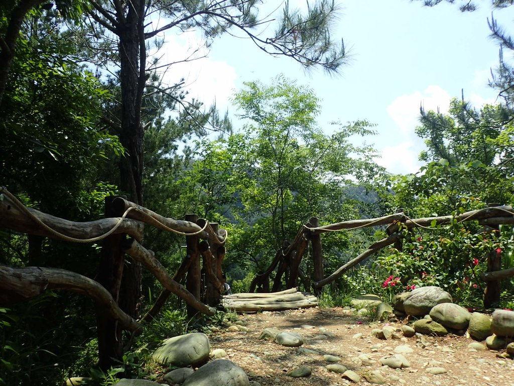 P5117186.JPG - 大坑四號步道  頭嵙山