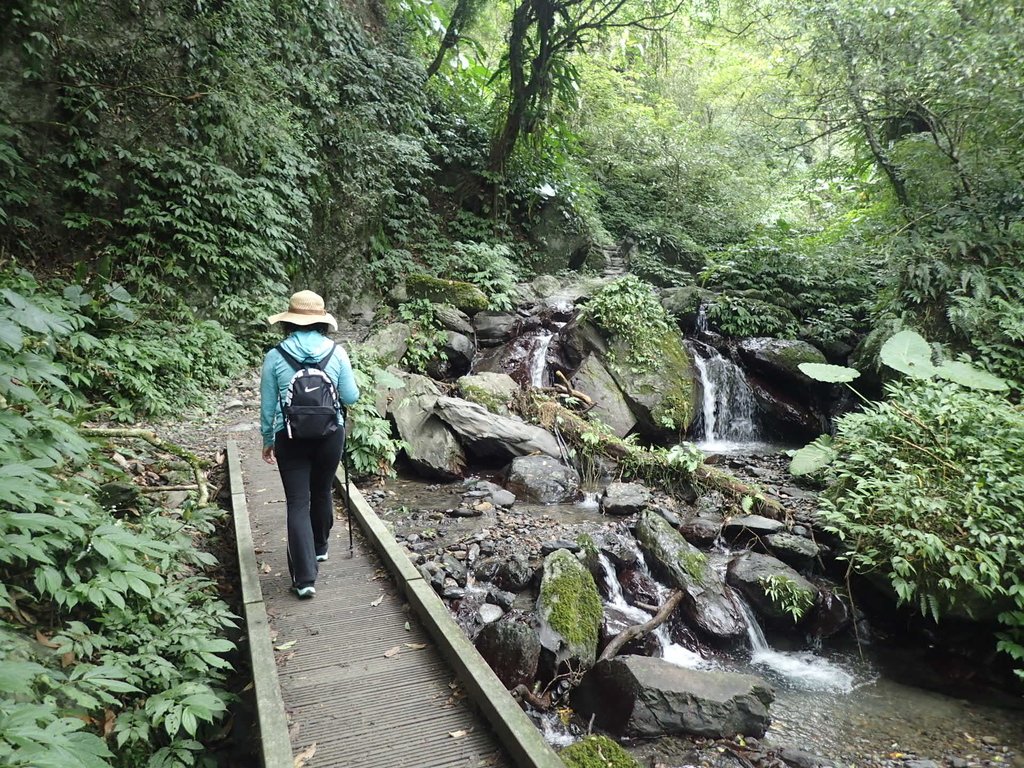 礁溪  聖母登山步道  (抹茶山)