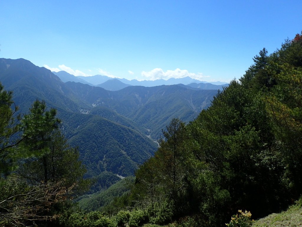 P3268104.JPG - 鹿林山  麟趾山步道  (01)