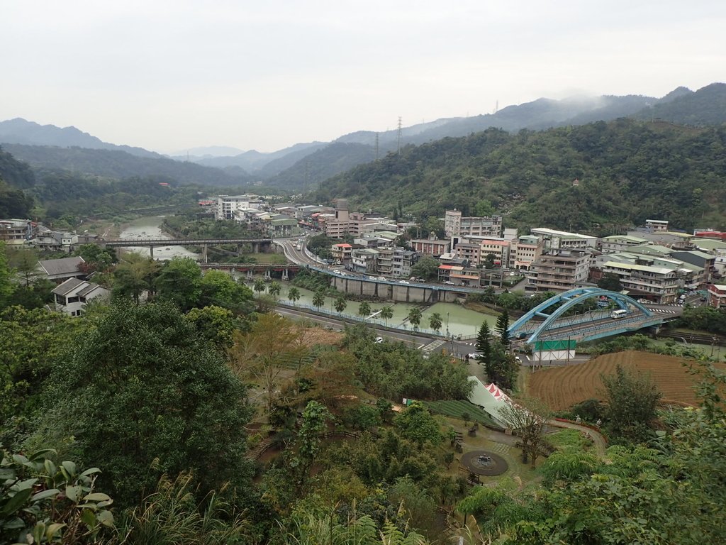 P3170357.JPG - 坪林  鬼子賴尖山