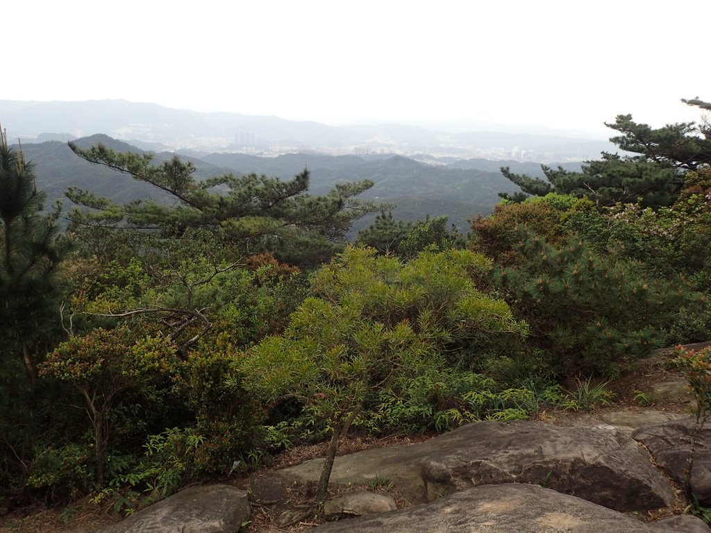 P3160067.JPG - 汐止  柯子林山  如意湖