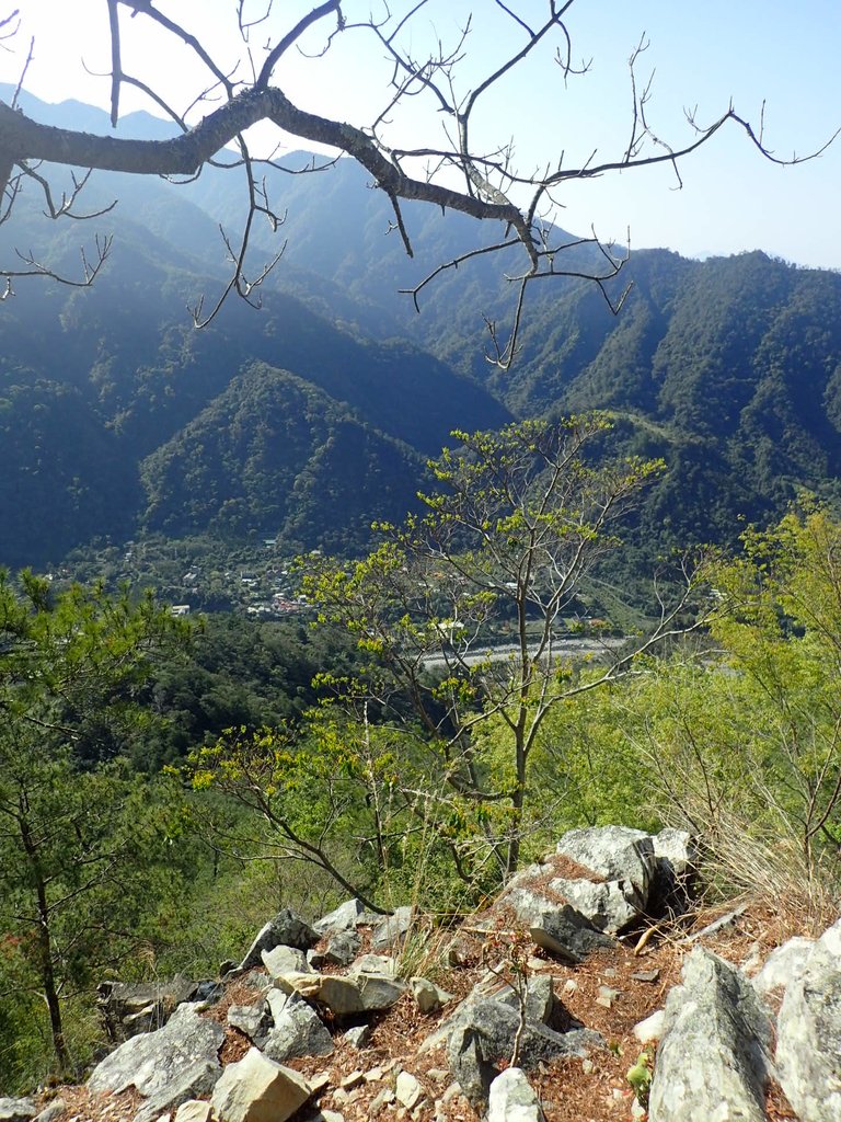 P3167164.JPG - 谷關  東卯山東南稜