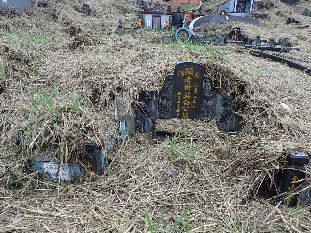 P3039178.JPG - 三峽  橫溪地區古墓踏查