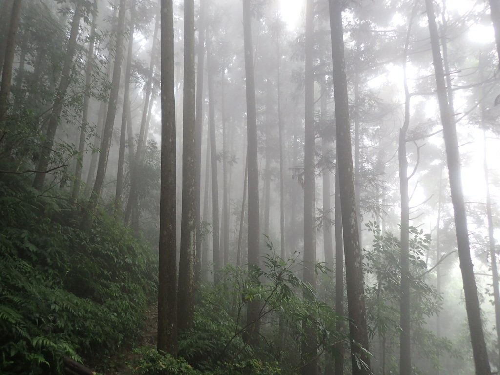 P9250157.JPG - 南庄  向天湖山  光天高山