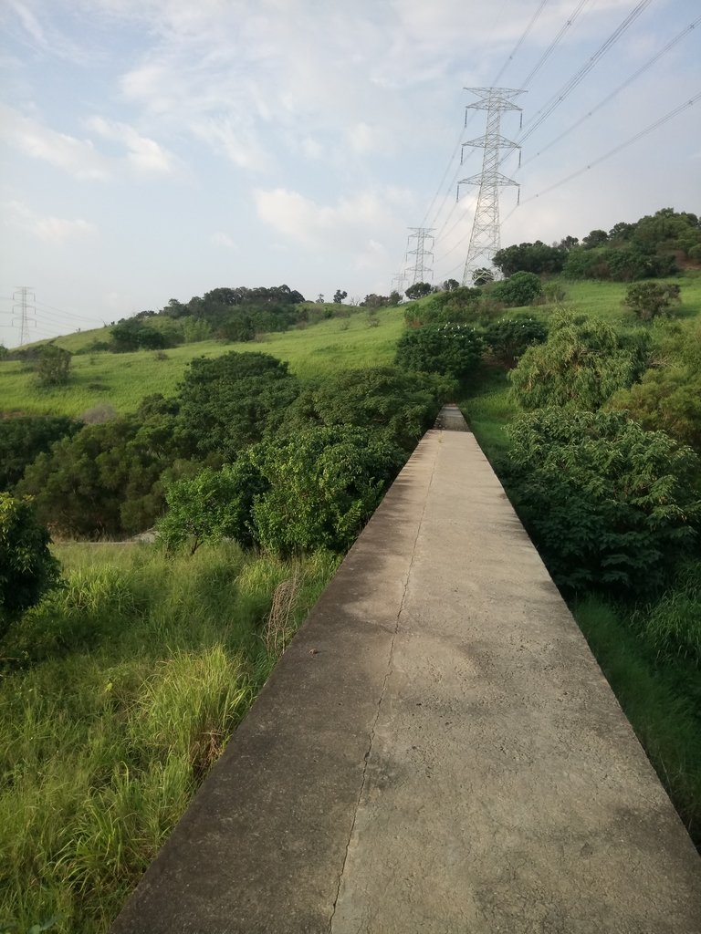 DSC_5833.JPG - 龍井  竹坑南寮登山步道