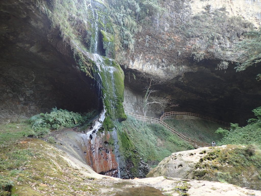 P2056654.JPG - 竹山  杉林溪森林遊樂園  路過