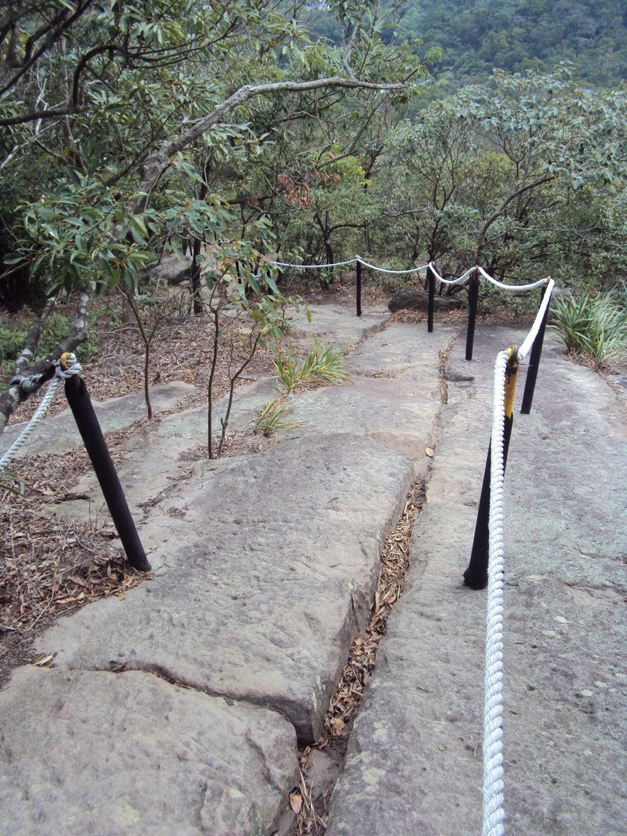 DSC06726.JPG - 內湖  金面山步道