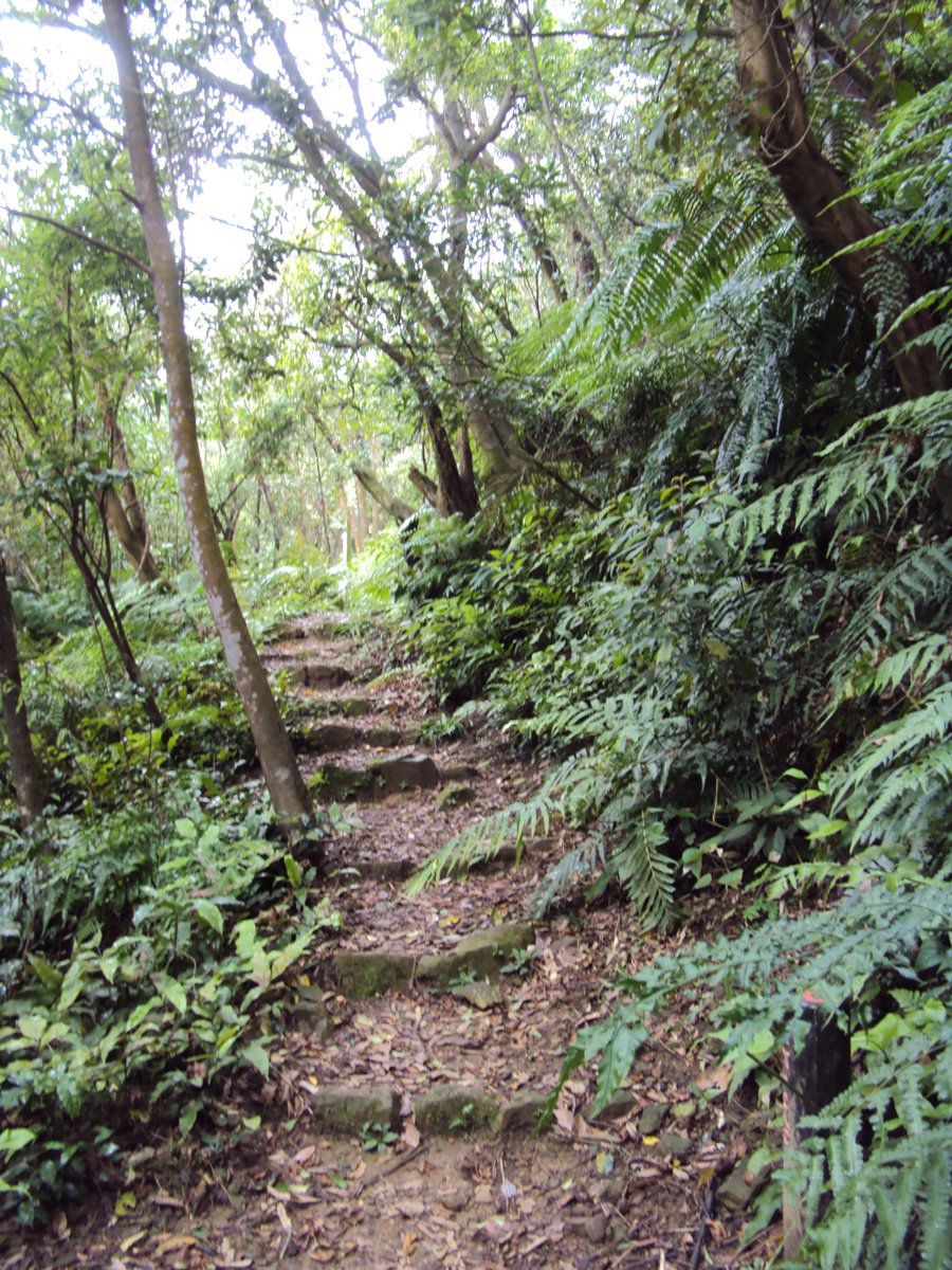 DSC07583.JPG - 基隆  暖東峽谷步道