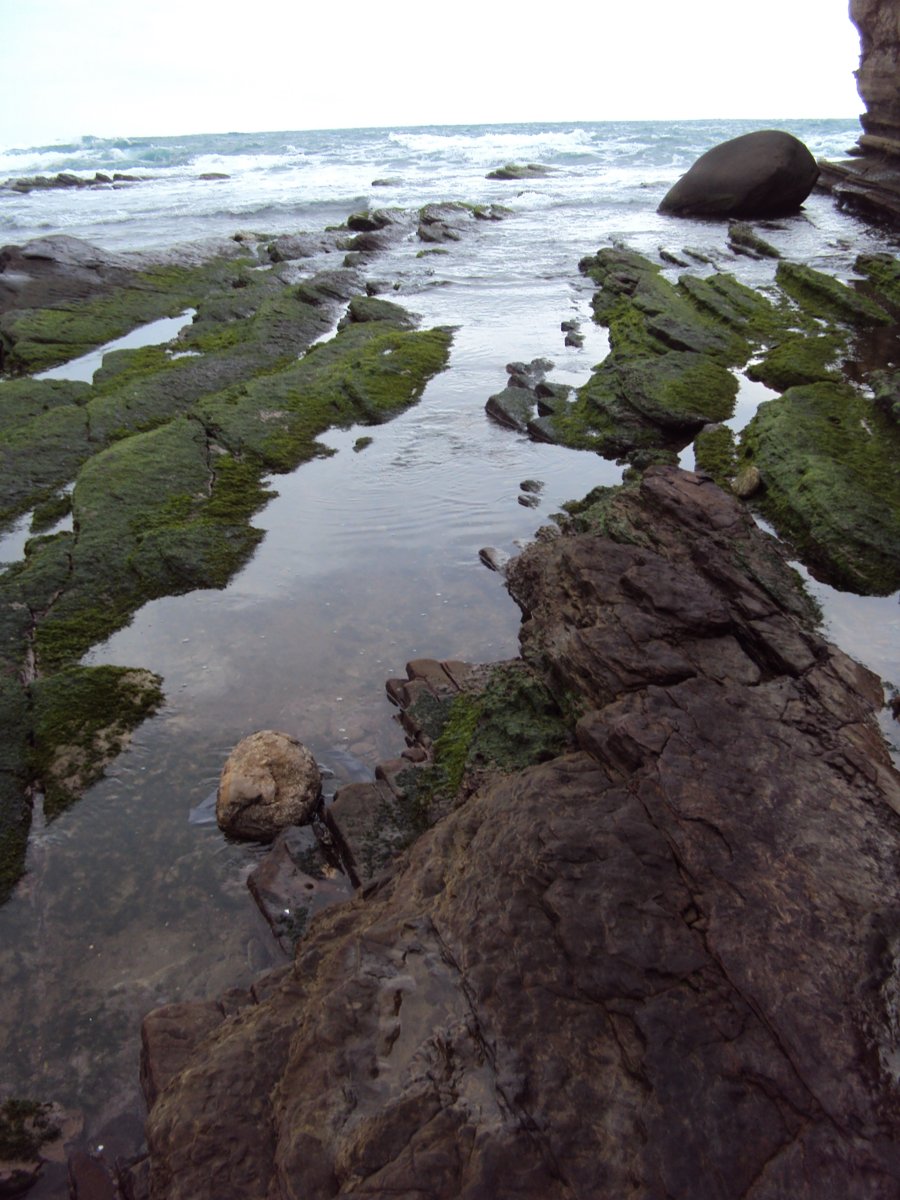 DSC06340.JPG - 瑞芳  南雅海岸岩石之美