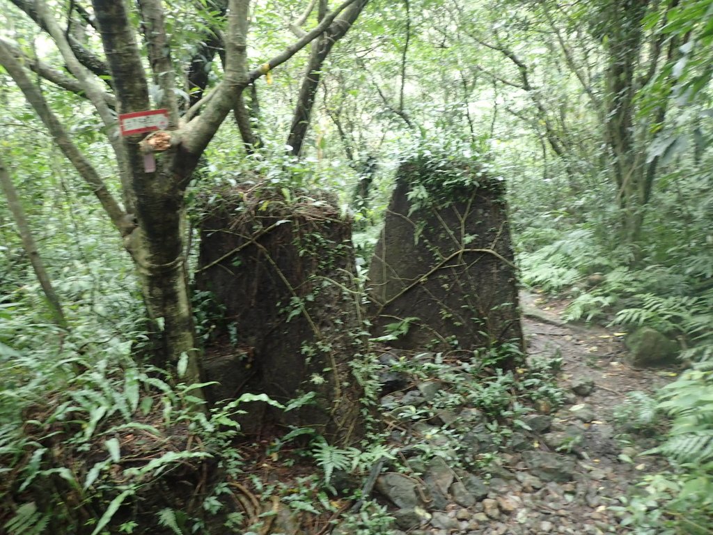 P1274388.JPG - 瑞芳  燦光寮古道初探