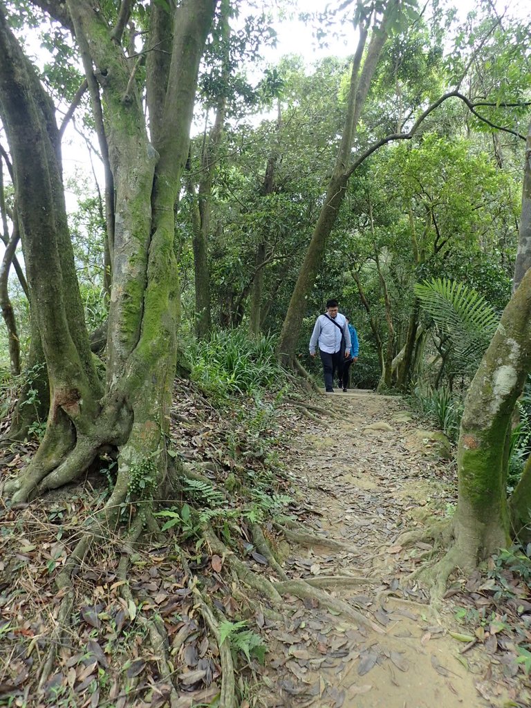 P2178228.JPG - 中和  南勢角山  (烘爐地)