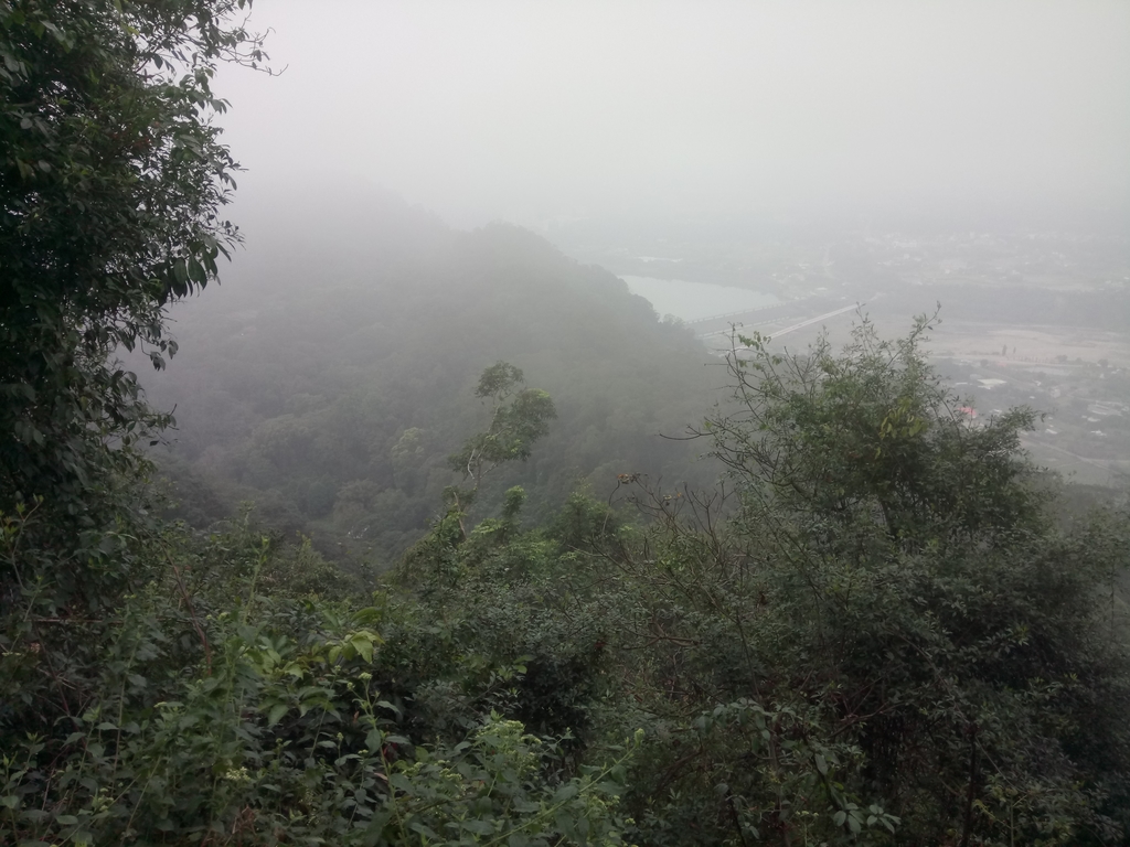 DSC_4878.JPG - 大溪  溪洲山登山步道