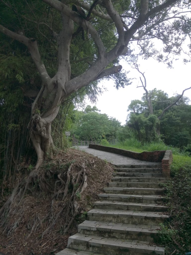 DSC_8972.JPG - 公館  墨硯山步道