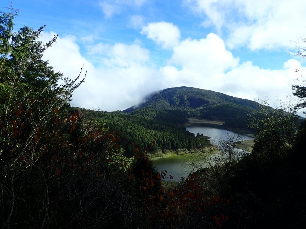 PB265466.JPG - 太平山  翠峰湖環山步道  02