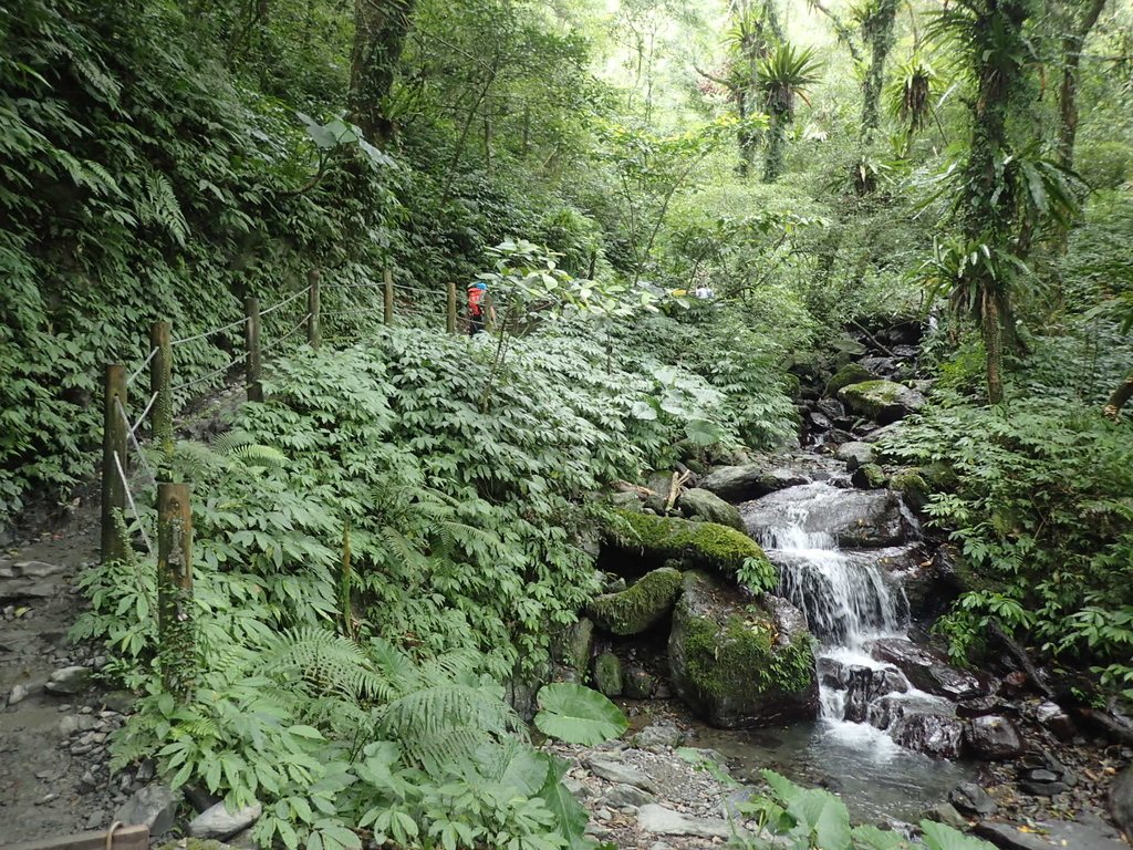 PB159012.JPG - 礁溪  聖母登山步道  (抹茶山)