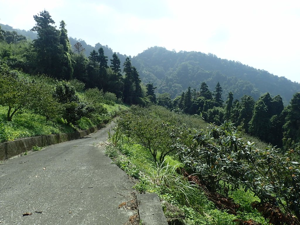 PA064493.JPG - 大湖  馬那邦山  (03)